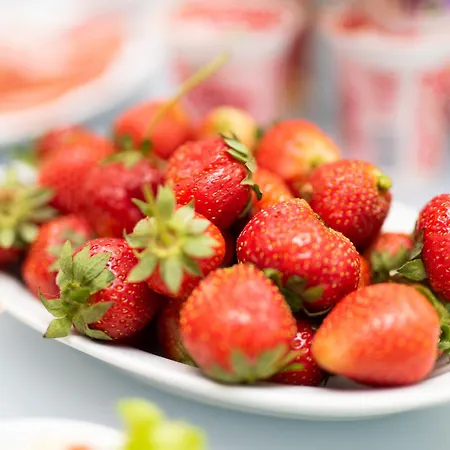 Great Polonia Swidnica Center Hotel 3*